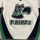 Vintage Seattle Thunderbirds Hockey Jersey Adult Small - Bauer Whl T-birds