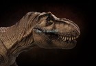 Tyrannosaurus Rex Jurassic World Dinosaur Model Figure 15   large Size  -tl1