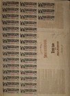Vintage 1903 Mexico Banco Central Mexicano 10-share Stock Certificate