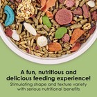 Kaytee Fiesta Rabbit Food Flavor Medley 25 Lb Bag - Essential Nutrition For Bunn