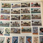 Huge Maluku Selatan Mint Stamps Lot On Album Pages Imperf  Animals  Sets