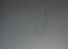 Large Lenticular Portrait Of Horses A Mare   Its Foal