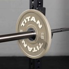 Titan Fitness Elite 10 Lb Pair Grey Elite Competition Bumper Plates