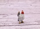 Amazing Antique Austrian Vienna Cold Painted Bronze Figure Of Miniature Hen    