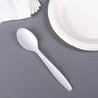 Karat Pp Plastic Extra Heavy Weight Tea Spoons - White - 1 000 Ct  U2033w