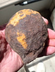Civil War Cs Shell Nose From Mobile Bay