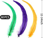 Mardi Gras Rooster Feathers - 60pcs 12-14inch Natural Long Rooster Tail Feath   