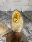 Vintage Steiff  Easter Bunny Rabbit Niki Mohair  Germany  Ear Button Free Shipin