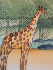 Vintage Souvenir 5 5  China Plate Hand Painted Japan Forest Park Zoo Fort Worth