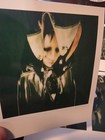 Lot Of Random Polaroid Surreal Photos