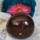 Hawaiian Hula Uli Uli Feathered Gourd Rattle Blue Yellow White Pink