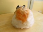 Vintage Steiff Guinea Pig  swinny  Mohair 1950 s-60 s Stuffed Animal  no Button 