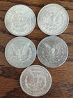 Lot Of 5 1878-1893 Morgan Siliver Dollars  Cc Mxed Dates --us
