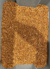 Live Mealworms - 25 - 2000 Ct - Reptile  Bird  Fish Feed