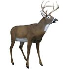 Outdoors 5965ms Boss Buck - Masters Series Deer Decoy