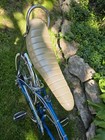 1966 Schwinn Sting-ray Fastback Original Survivor Silverglow 5 Speed Sprint 66