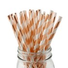 Paper Straws Rose Gold Wedding Birthday Babyshower Hen Party  Tableware
