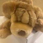 Animal Alley Darby Puppy Dog Brown Tan Plush Vintage Toys R Us  9     b3