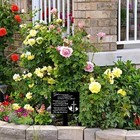 Suncatchers Memorial Remembrance Plaque Stake Waterproof Grave Marker  Cemetery