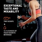 2 Pack Body Fortress Isolate Protein Powder Chocolate 1 5lb 60g Ultra Filtered