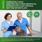 Natural Liquid Antibiotic For Cats     Kidney   Breathing Support 2 Oz