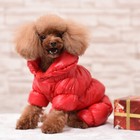 Waterproof Pet Dog Clothes Coat For Small Dog Winter Puppy Jacket Warm Clothing