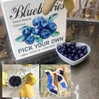 50 Pcs Artificial Fake Fruit Blueberry Decor Lifelike Simulation Plastic Faux