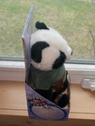 Bible Bears Plush Stuffed Animal Pauly Panda 1999 Nib New In Box 
