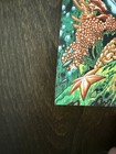 Dave Matthews Band Poster Camden Nj 7 11 26 Miles Tsang Octopus
