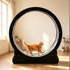 Cat Exercise Wheel Indoor Cats Exerciser Weight Loss Daily Activity - Black