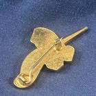 Vintage Northern Ireland Budgerigar   Foreign Bird Society Enamel Badge Nib fbs