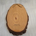 Vintage Warner Sallmans Head Of Christ Decoupage Plaque Oval Wood Slab 10    X 7   