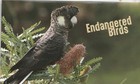 Australia 2026  Endangered Birds - Stamp Pack - Contains Stamps   Mini-sheet 