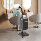 Nano Mist Hair Steamer 1000ml 500w For Salon Spa Barber Shop