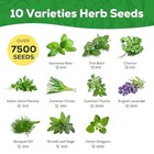 10 Herb Seed Variety Pack - 7 000  Non-gmo Heirloom Seeds For Home Garden