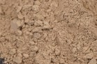 Pnsb  Rhodopseudomonas Palustris - Live Culture  One Gram  8 Billion Cfu Pns
