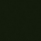 Automotive Paint For Mazda 13c  Marina Green Mica