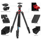 62 2   carbon Fiber Tripod With Detachable Monopod Ball Head For Camera