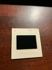 Engelbert Humperdinck 35mm Slide  2 1972 1970s Concert Vtg Amateur Photo