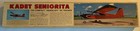 Sig Kadet Seniorita Radio Control Rc Model Airplane Kit
