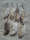 Lucky Rabbit s Foot