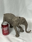 The Herd  hundred  Elephant  3168 Notusks  c3 