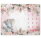 Yuzioey Baby Girl Monthly Milestone Blanket  Floral Elephant Month Blanket Fo   