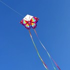 Large Butterfly Kite For Adults And Kids  31  x22   Single Line Kite For Outdoor