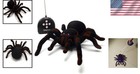 Realistic Rc Spider Toy With Glowing Eyes