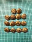 Lot Of 14 Vtg Brass Buttons Lyre Horstmann Bros    Co  Phil Military Band