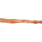 60  - Hand Carved Diamond Willow - Finished With Apoxy - Hiking   Walking Stick