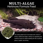 Algae Wafers Pleco Food  Spirulina   Algae  Sword Prawns  Balanced Diet  Colo   