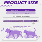 Leather Cat Collar For Girl Boy- Adjustable Pet Collar With Safety Elastic Belt 