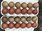6 Hollow Brick Red And Dark Olive Chicken Eggs - Hand Blown Eggshells For Crafts